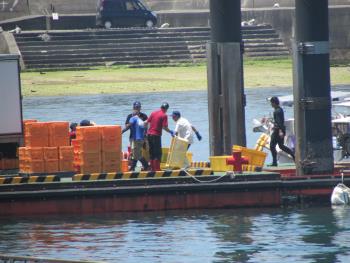 トサカかけ トサカかけ