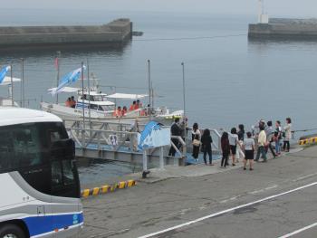 イルカウォッチング イルカウォッチング