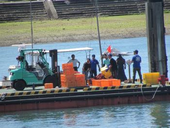 トサカ漁 トサカ漁