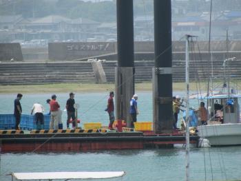 トサカ漁 トサカ漁