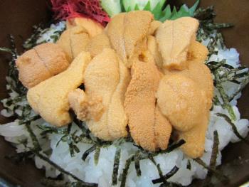 宝多ウニ丼 宝多ウニ丼