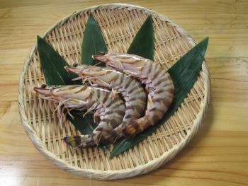 天然車エビ 天然車エビ