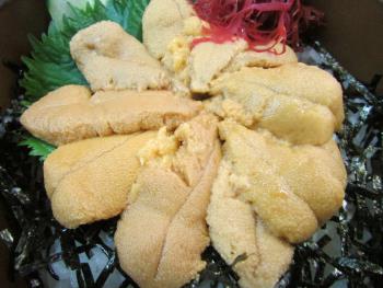 宝多うに丼 宝多うに丼
