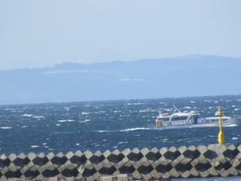 イルカウォッチング イルカウォッチング