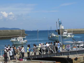 イルカウォッチング イルカウォッチング