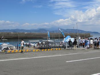 イルカウォッチング イルカウォッチング