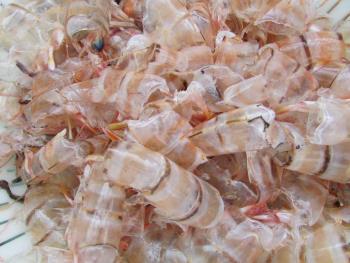 エビの殻 エビの殻