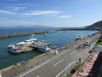 イルカウォッチング イルカウォッチング