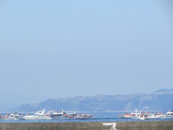 イルカウォッチング イルカウォッチング