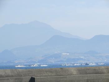 イルカウォッチング イルカウォッチング