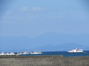 イルカウォッチング イルカウォッチング