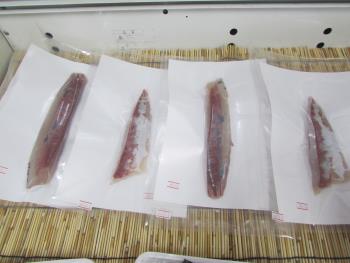 魚のブロック 魚のブロック