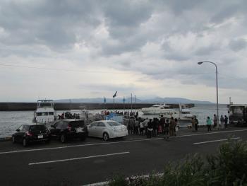 イルカウォッチング イルカウォッチング