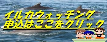 申しこみ 申しこみ