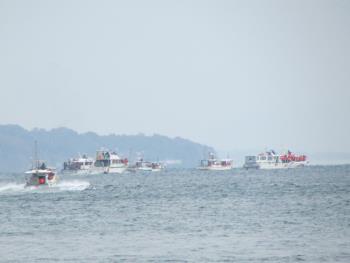 イルカウォッチング イルカウォッチング