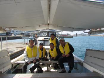 イルカウォッチング イルカウォッチング