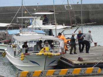 イルカウォッチング イルカウォッチング