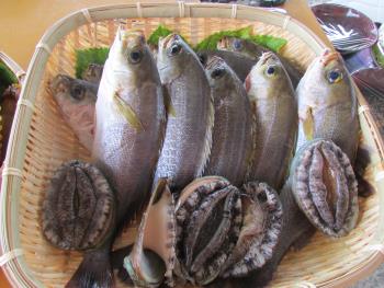 海鮮バーベキュー 海鮮バーベキュー