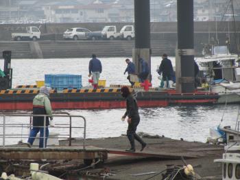 トサカ漁 トサカ漁