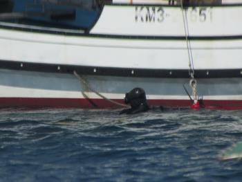 ナマコ獲り ナマコ獲り