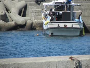 ナマコ獲り ナマコ獲り