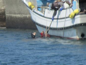 ナマコ獲り ナマコ獲り