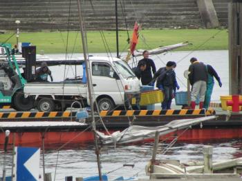 トサカ漁 トサカ漁