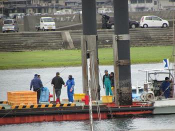 トサカ漁 トサカ漁