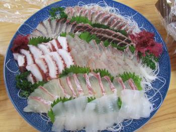 刺身食べ放題 刺身食べ放題