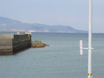 イルカウォッチング イルカウォッチング