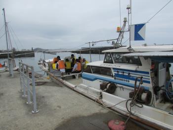 イルカウォッチング イルカウォッチング