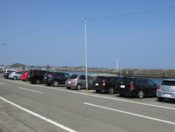 イルカウォッチング イルカウォッチング