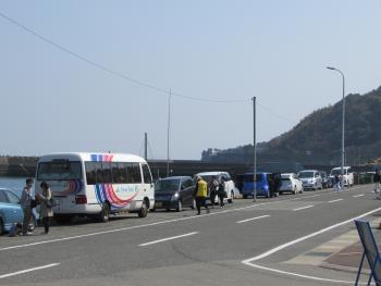 イルカウォッチング イルカウォッチング