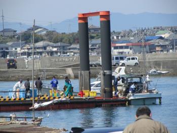 ワカメ漁 ワカメ漁