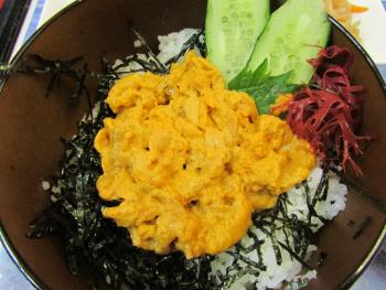 うに丼 うに丼