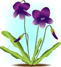 イラスト イラスト