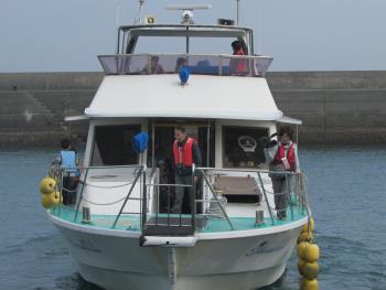 イルカ開き イルカ開き