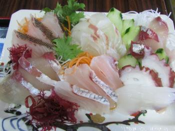 刺身定食 刺身定食