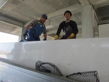 市場出し 市場出し