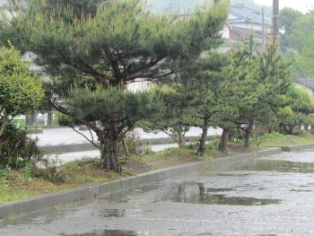 草はらい 草はらい