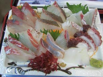 刺身定食 刺身定食