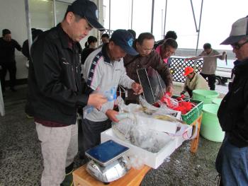 はやさき市 はやさき市