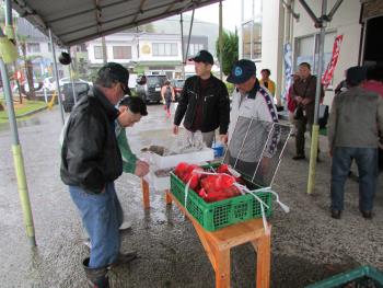 はやさき市 はやさき市