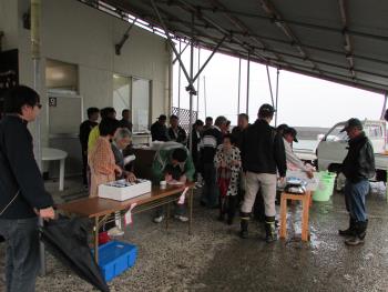 はやさき市 はやさき市