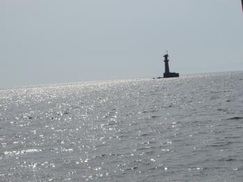 イルカウォッチング イルカウォッチング