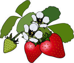 イラスト イラスト