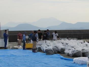 ヒジキかけ ヒジキかけ