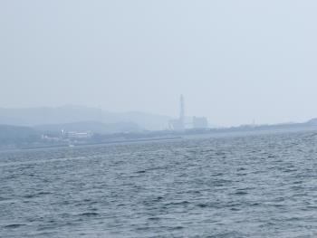 イルカウォッチング イルカウォッチング