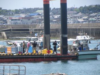 トサカ漁 トサカ漁