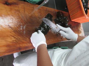 クロメ作業 クロメ作業